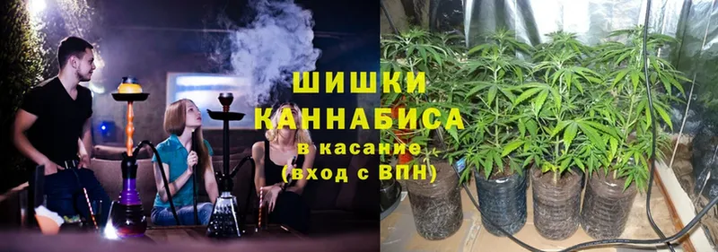 Каннабис индика  хочу наркоту  Медынь 